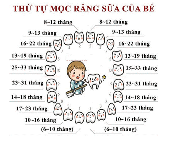 Quá trình mọc răng của bé