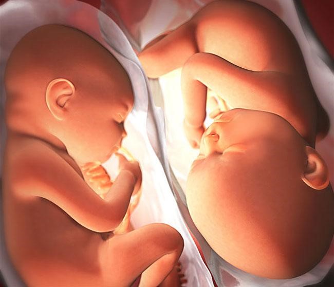 Thăm khám bác sĩ thường xuyên là điều cần thiết để đảm bảo em bé khỏe và phát triển bình thường