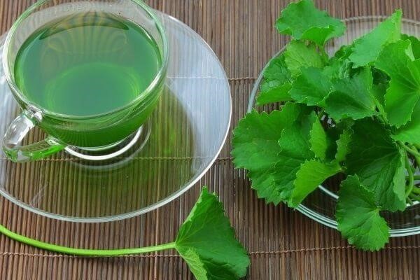 Sử dụng nước rau má để rửa mặt hằng ngày